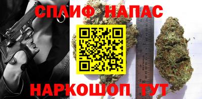 крисы Ливны