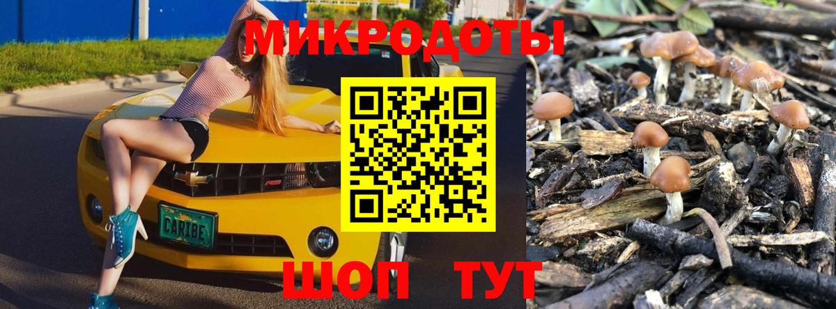 Южно-Сахалинск  Псилоцибиновые грибы Psilocybine cubensis  Вход с VPN 